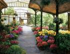 Paris Flower Market I