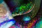Macro Of Colorful Glass 2