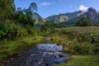 The Harenna Escarpment Bale Mountains National Park Ethiopia