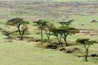 The Bush, Maasai Mara National Reserve, Kenya