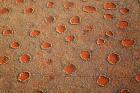 Fairy circles dotting the landscape of the Namib-Rand Nature Reserve, Sossusvlei, Nambia