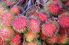 Tanzania, Zanzibar, StoneTown, Darajani Market, litchi