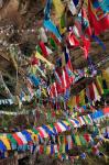 Prayer Flags, Thimphu, Bhutan