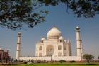 Asia, India, Taj Mahal with trees above as framing element