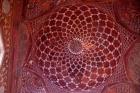 Agra, India, Taj Mahal Mosque ceiling