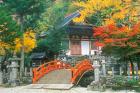 Ryuzenji Temple, Nara, Japan