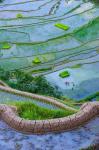 Rice Terraces Of Banaue, Philippines