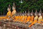 Row of Buddha statues, Wat Yai Chaya Mongkol or The Great Temple of Auspicious Victory, Ayutthaya, Thailand