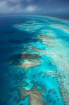 Arlington Reef, Great Barrier Reef Marine Park, North Queensland, Australia