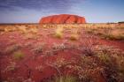 Australia, Uluru-Kata Tjuta NP, Outback, Ayers Rock