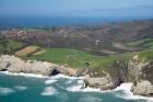 Cliffs, Cape Farewell, South Island, New Zealand