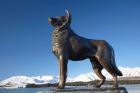 New Zealand, South Island, Lake Tekapo, Sheep Dog Statue