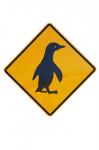 Penguin Warning Sign, New Zealand