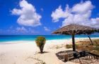 Coco Point Beach, Barbuda, Antigua
