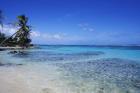 Beach and Palms in Sainte Anne, Guadeloupe