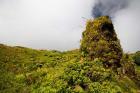 Rim of Summit Crater on Mt Pelee, Martinique, French Antilles