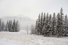 Winter Views from Train, Alberta, Canada