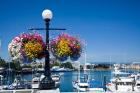 British Columbia, Victoria, Boat Harbor