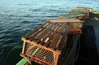 Nova Scotia, Cape Breton, Lobster Traps