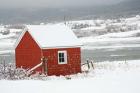 North America, Canada, Nova Scotia, Cape Breton, Cabot Trail, Red Shed In Winter