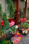 Florist in Ile St Louis, Paris, France