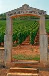 Stone Portico to the Vineyard Chevalier-Montrachet