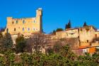 Ruins of the Pope's Summer Castle in Chateauneuf-du-Pape