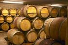 Wine cellar, Alain Voge, France