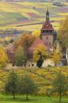 Church And Vineyards, Germany