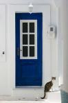 Village Door with Cat, Kokkari, Samos, Aegean Islands, Greece