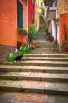 Europe, Italy, Monterosso Cat On Long Stairway