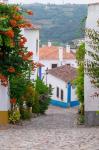 Portugal, Obidos Leira District Cobblestone Walkway