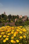 Spain, Granada The Generalife gardens, Alhambra grounds