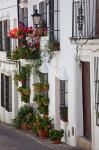 Spain, Andalucia Region, Cadiz, Grazalema Potted plants by a home