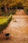 Parque del Buen Retiro, Madrid, Spain