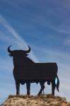 Famous Bull Symbols of the Bodegas Osborne, Puerto de Santa Maria, Spain
