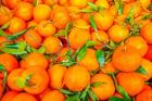 Oranges Displayed In Market In Shepherd's Bush, Londo