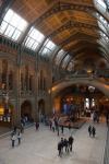 England, London, Natural History Museum Great Hall