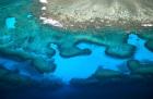 Coral Reefs of Mamanuca Island Group, Fiji