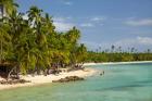 Beach, palm trees and beachfront bures, Plantation Island Resort, Malolo Lailai Island, Mamanuca Islands, Fiji