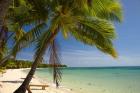 Beach and palm trees, Plantation Island Resort, Mamanuca Islands, Fiji