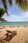 Beach, palm trees and lounger, , Fiji