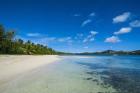 White sand beach and turquoise water, Nanuya Lailai Island, Blue Lagoon, Yasawa, Fiji