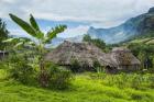 Traditional thatched roofed huts in Navala, Fiji