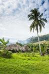 Traditional thatched roofed huts in Navala in the Ba Highlands of Viti Levu, Fiji, South Pacific