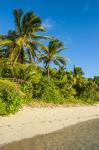 Oarsman Bay, Fiji