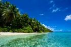 White Sand Beach In Turquoise Water In The Ant Atoll, Micronesia