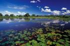 Waterways in Pantanal, Brazil