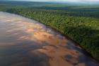 Essequibo River, between the Orinoco and Amazon, Iwokrama Reserve, Guyana