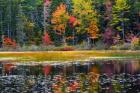 Somes Pond In Autumn, Somesville, Maine